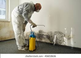 Professional Mold Removal in Acworth, GA